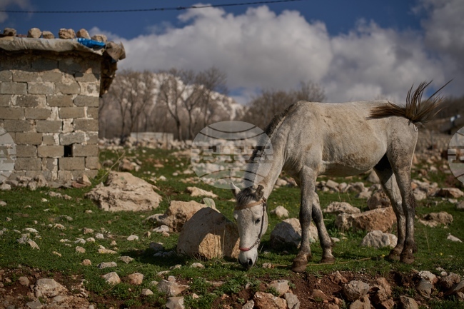 Iraq iran Communication Breakdown