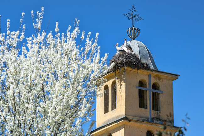 Документалната поредица „Достойно ест“ разказва историята на християнството в България