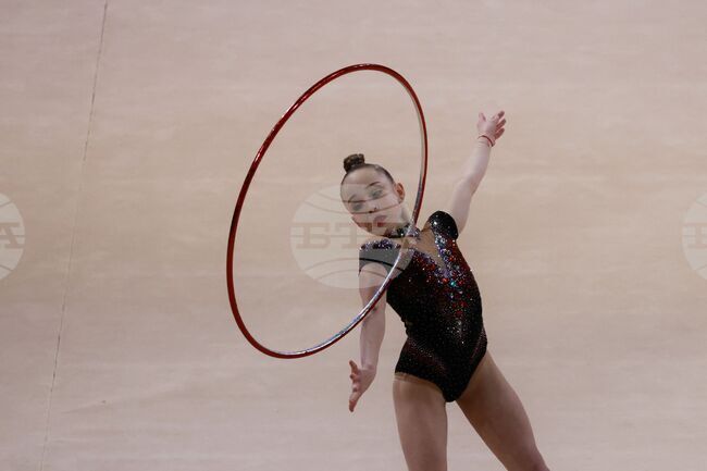 Световна купа по художествена гимнастика - финали