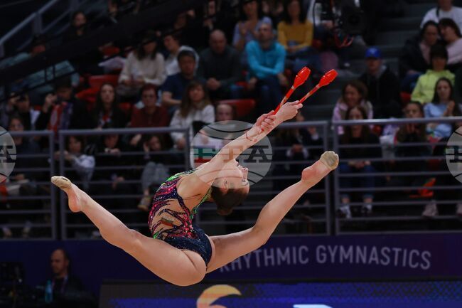 Световна купа по художествена гимнастика - финали