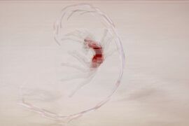 Световна купа по художествена гимнастика - финали - Ева Брезалиева - съчетание с лента