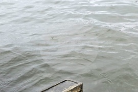 Сърбия - река Дунав - покачване на нивото