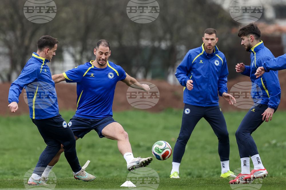 Bosnia Italy WCup Soccer