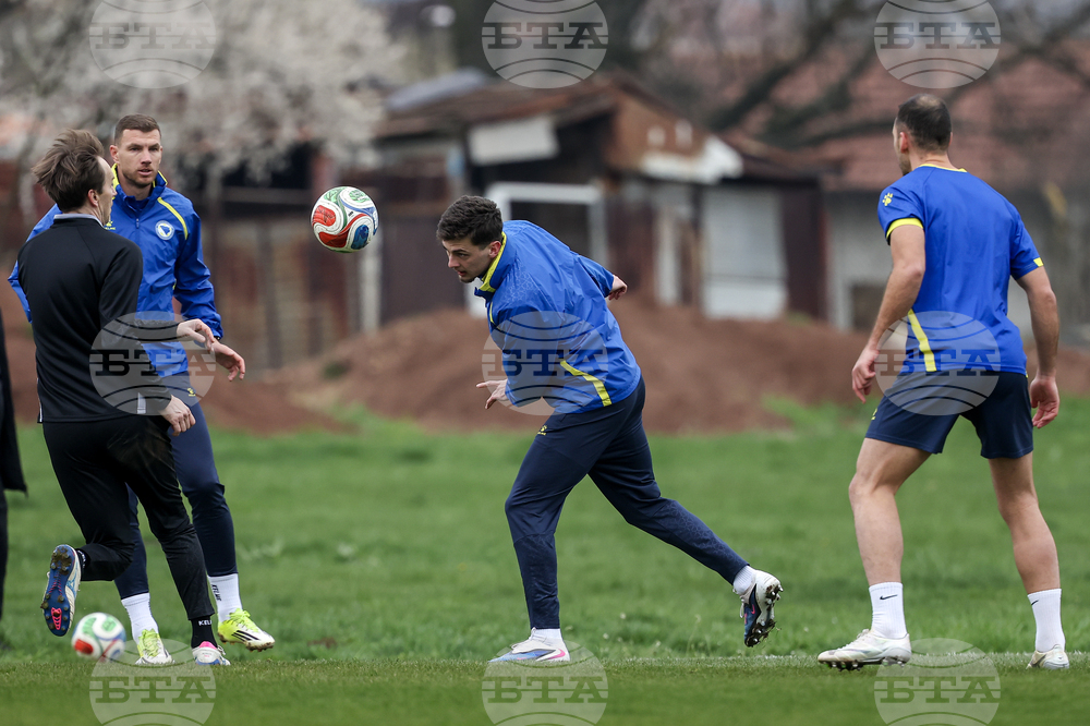 Bosnia Italy WCup Soccer