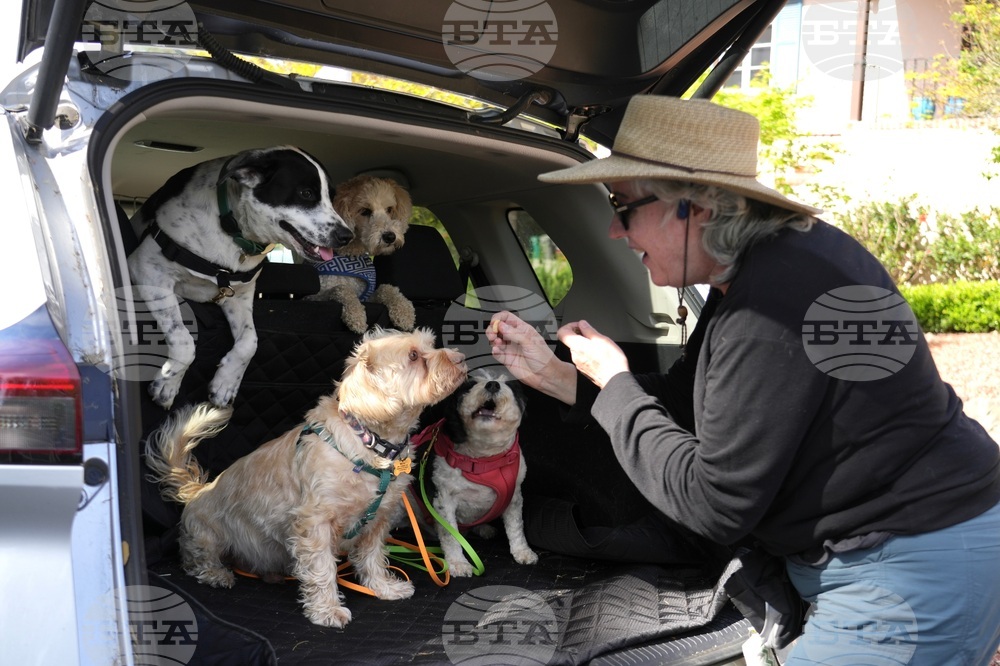 Gas Prices Driving for Work