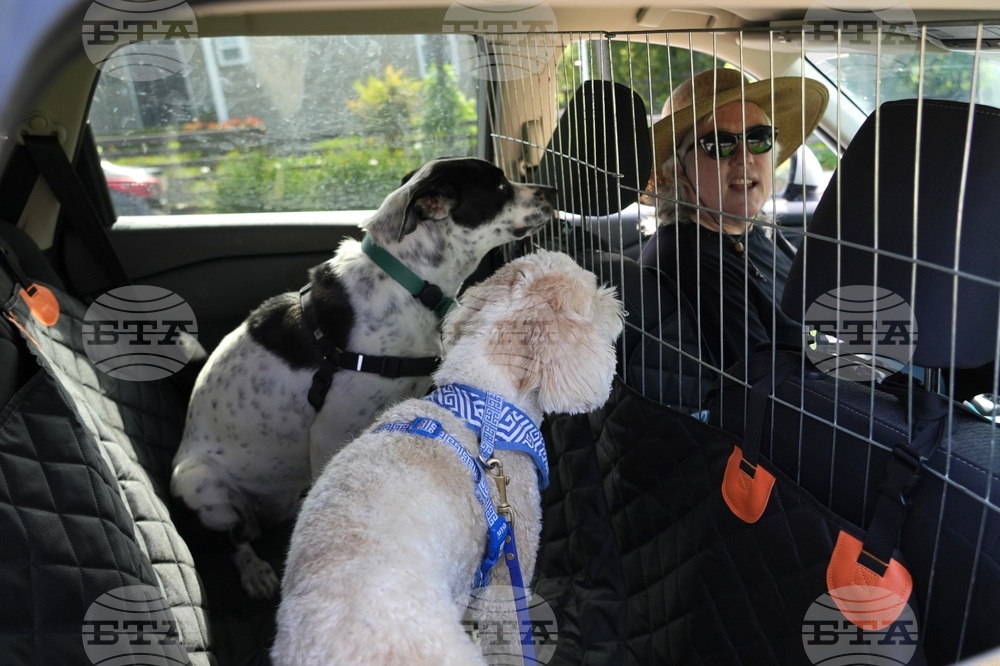 Gas Prices Driving for Work