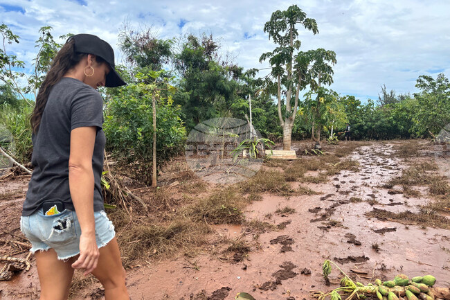 Hawaii Floods Drainage Systems
