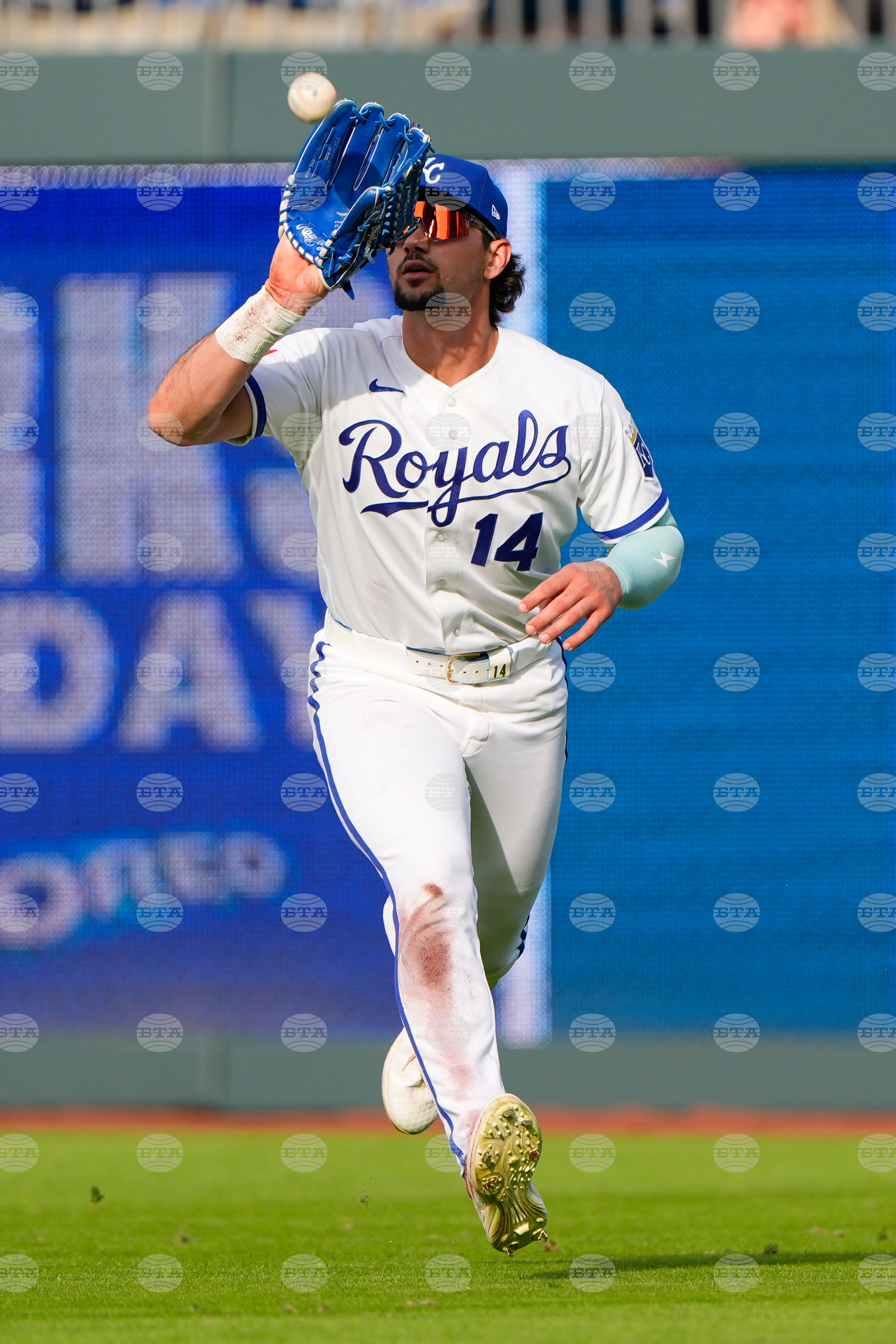 Twins Royals Baseball