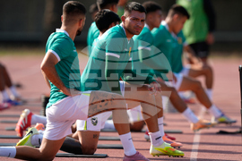 Mexico Bolivia WCup Soccer