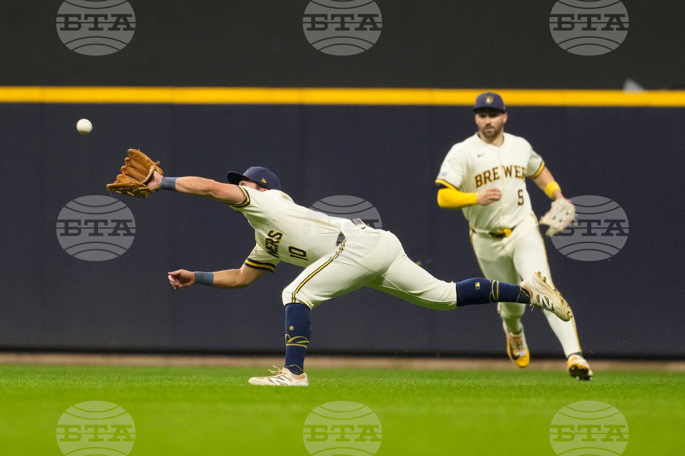 Rays Brewers Baseball