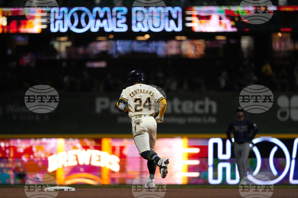 Rays Brewers Baseball