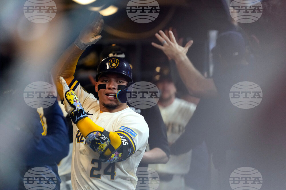 Rays Brewers Baseball