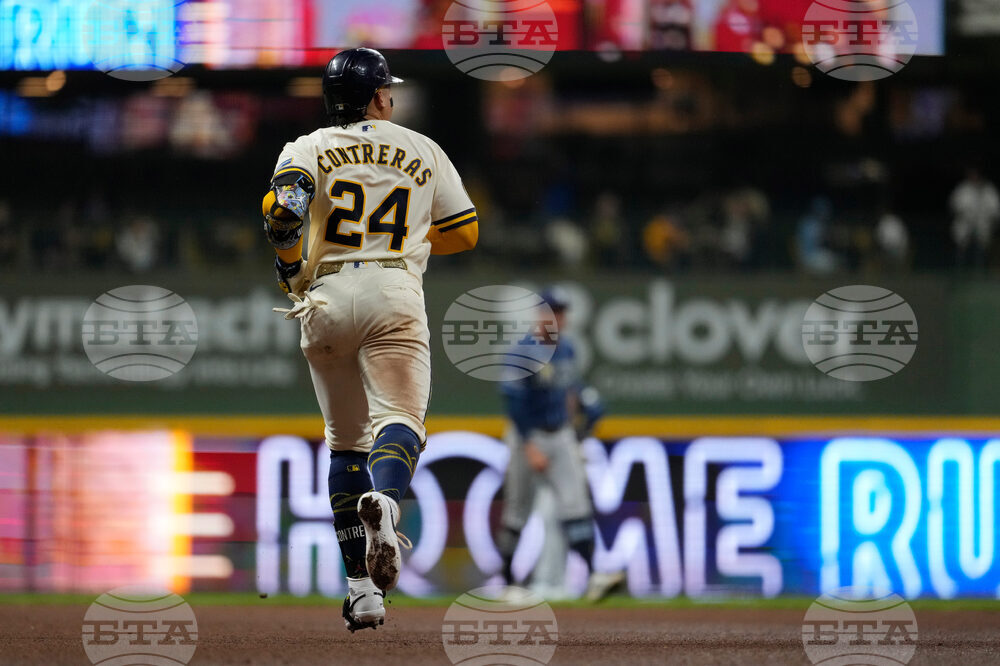 Rays Brewers Baseball