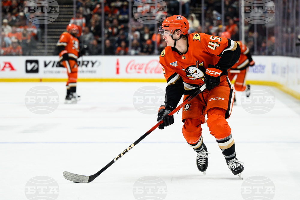 Maple Leafs Ducks Hockey