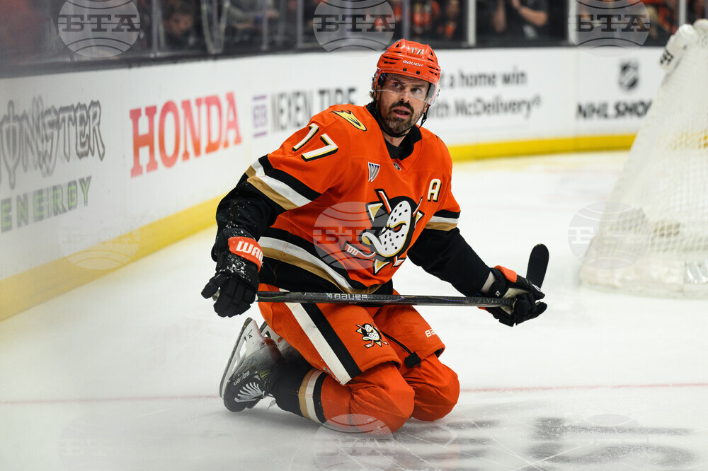 Maple Leafs Ducks Hockey