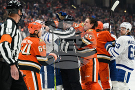 Maple Leafs Ducks Hockey