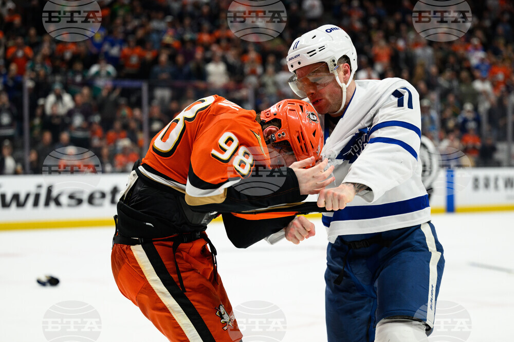 Maple Leafs Ducks Hockey