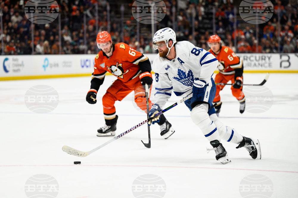 Maple Leafs Ducks Hockey