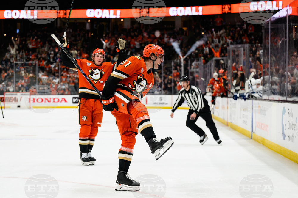 Maple Leafs Ducks Hockey