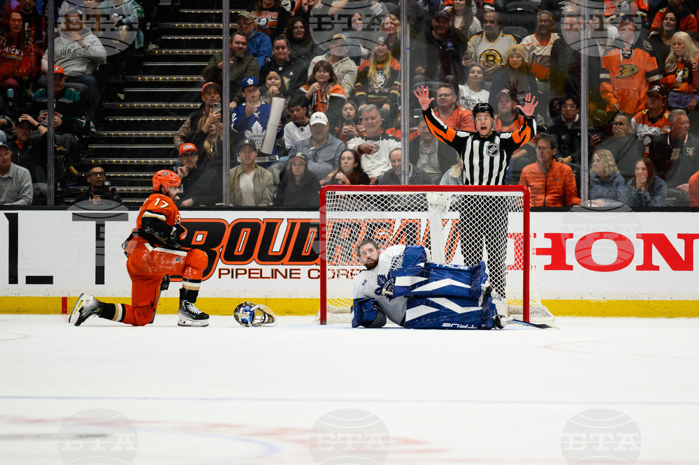 Maple Leafs Ducks Hockey