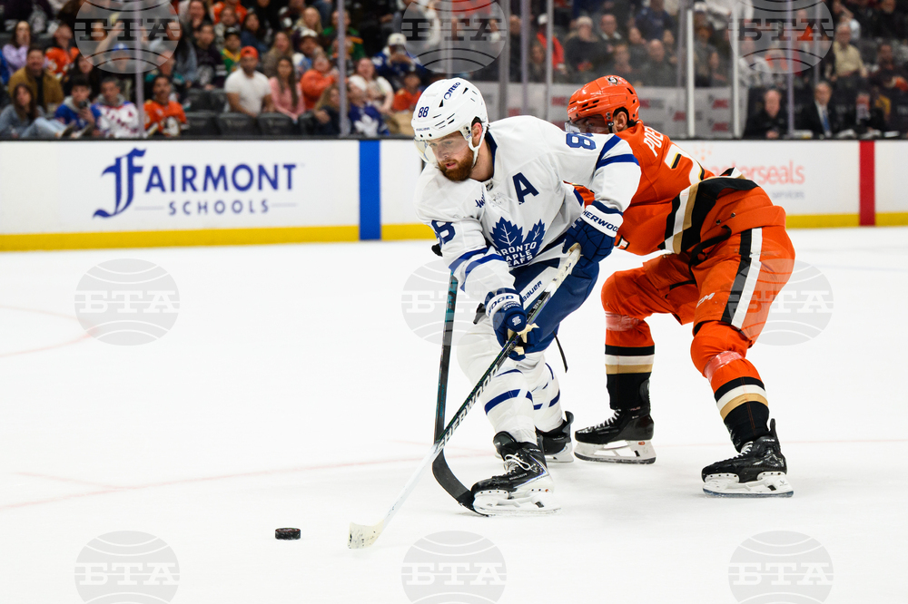 Maple Leafs Ducks Hockey