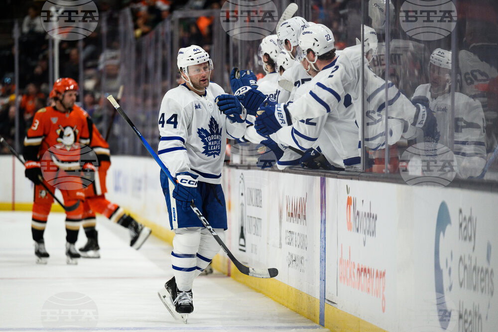 Maple Leafs Ducks Hockey