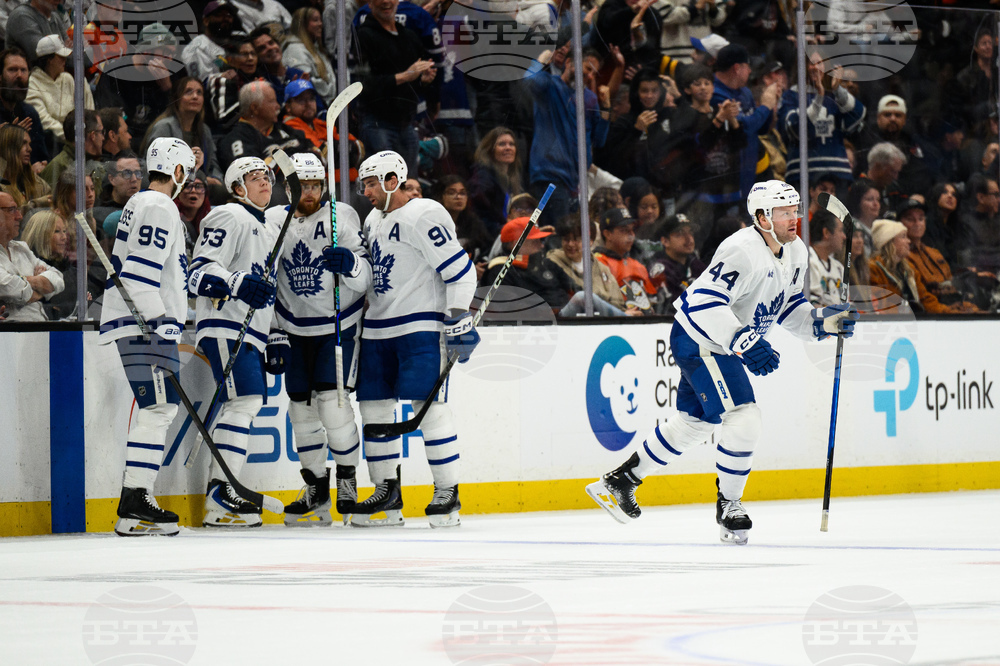 Maple Leafs Ducks Hockey