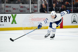 Maple Leafs Ducks Hockey