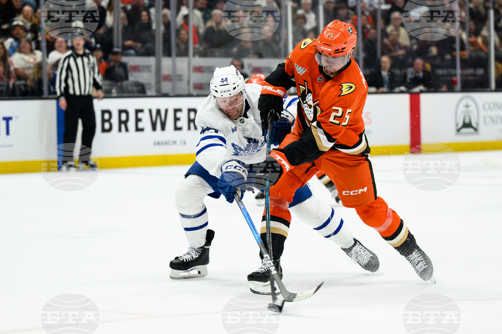 Maple Leafs Ducks Hockey
