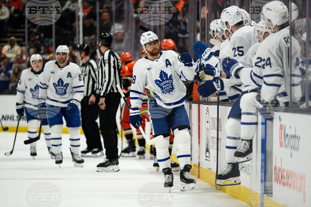 Maple Leafs Ducks Hockey