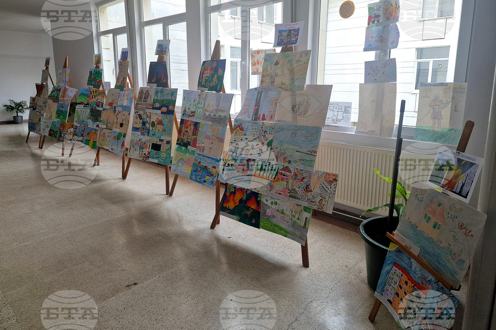 Лозница - Община - изложба