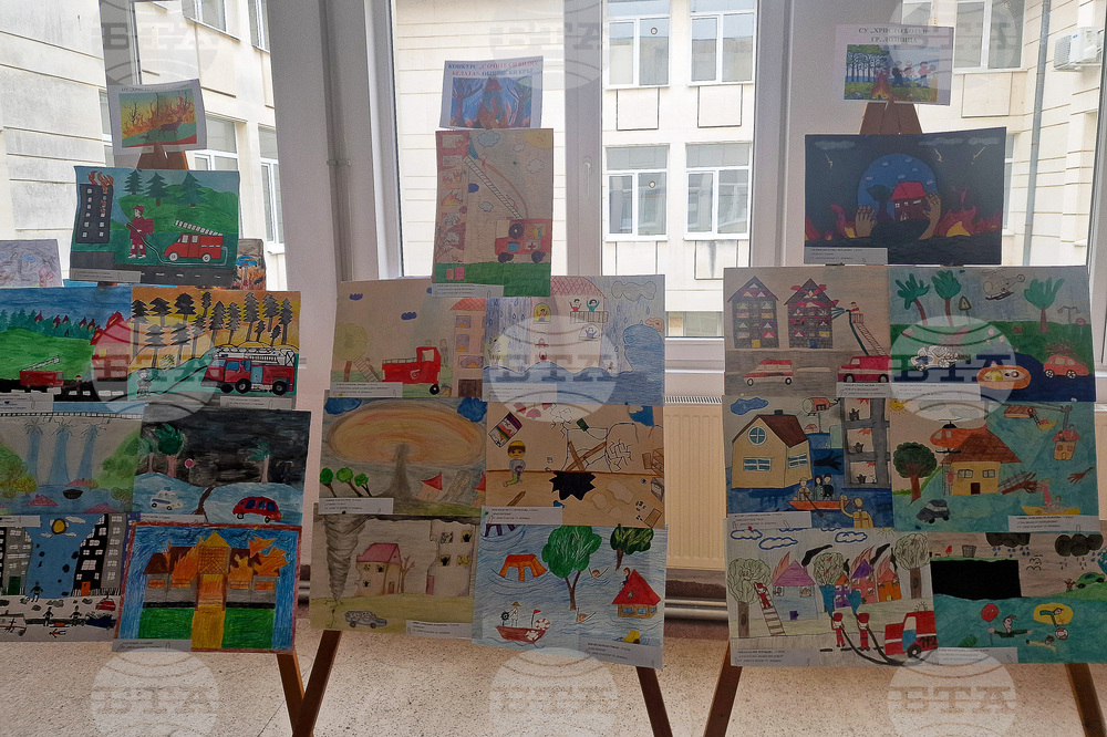 Лозница - Община - изложба