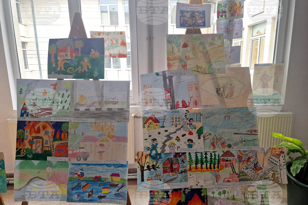 Лозница - Община - изложба