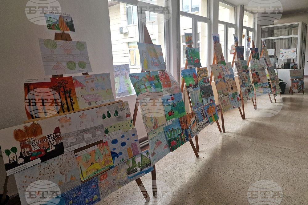 Лозница - Община - изложба