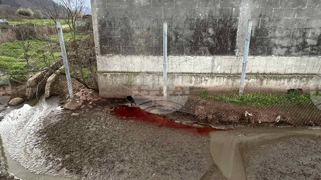 Река Лесидренска е вероятно замърсена от близко месопреработвателно предприятие, сигнализира БАБХ