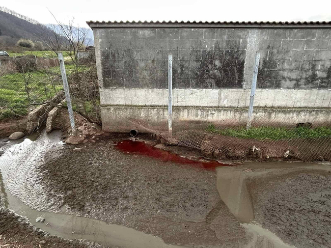 Река Лесидренска е вероятно замърсена от близко месопреработвателно предприятие, сигнализира БАБХ