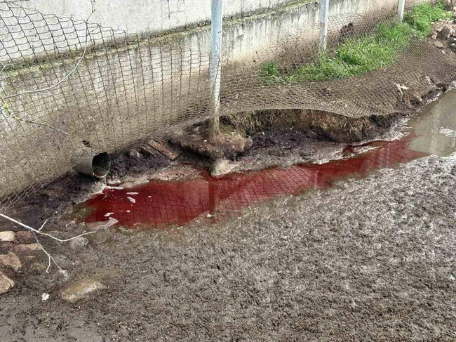 БАБХ сигнализира за евентуално замърсяване на река Лесидренска 