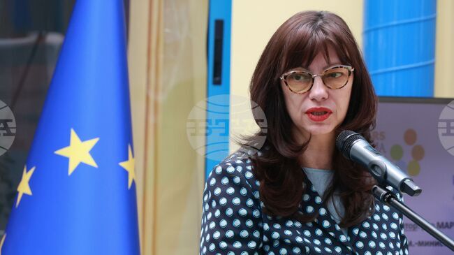 Българската национална телевизия винаги е готова да отразява теми, свързани с България, каза генералният директор на БНТ Милена Милотинова 