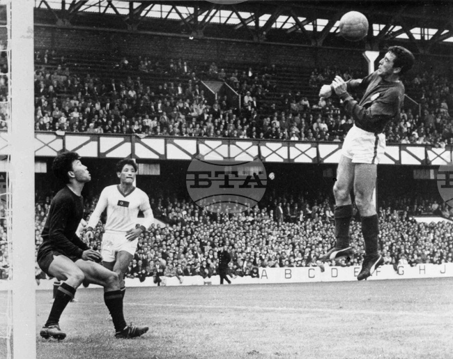 South Africa Soccer WCup Portugal NKorea