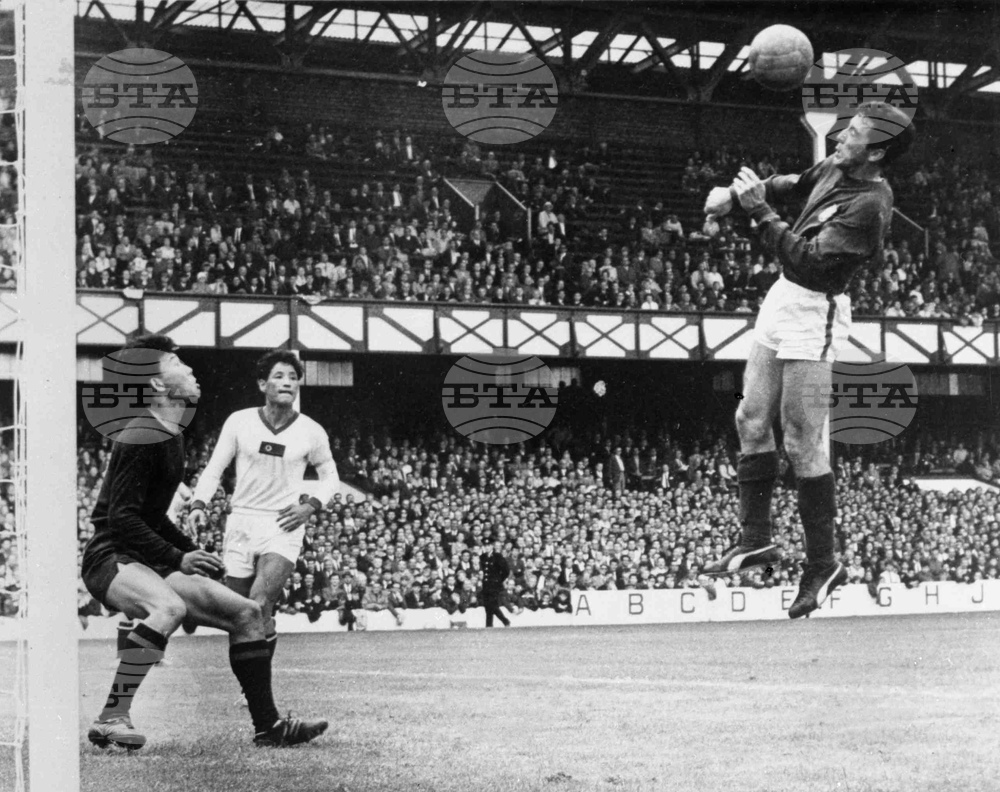 South Africa Soccer WCup Portugal NKorea