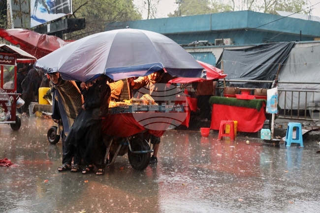 Най-малко 61 души са загинали и 116 са ранени при наводненията в Афганистан от края на миналия месец насам, съобщиха властите