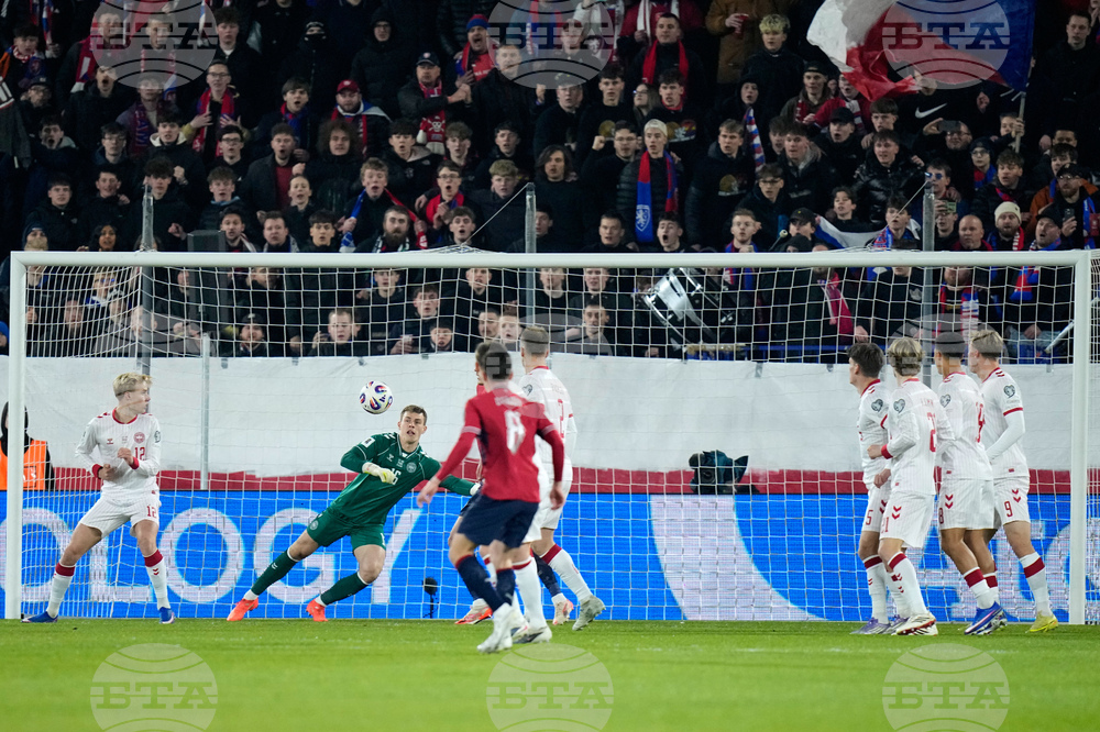 Czechia Denmark WCup Soccer