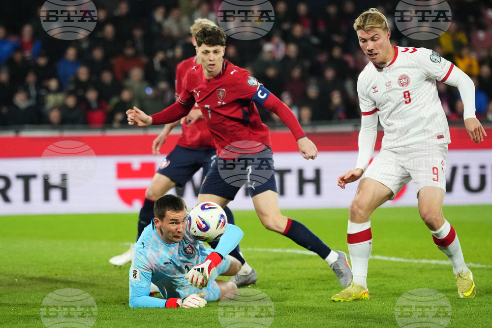 Czechia Denmark WCup Soccer