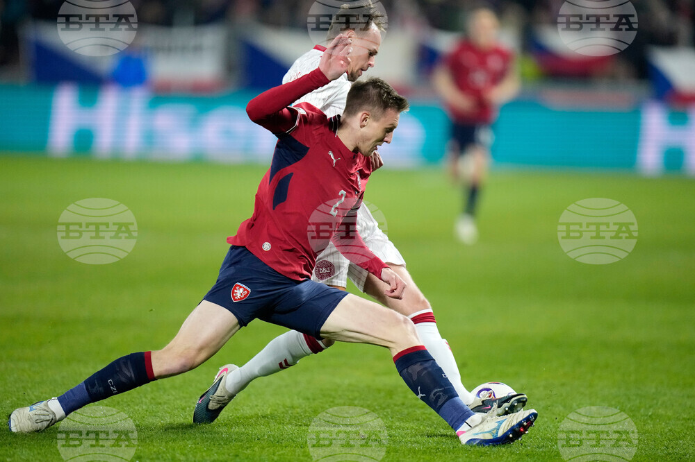 Czechia Denmark WCup Soccer