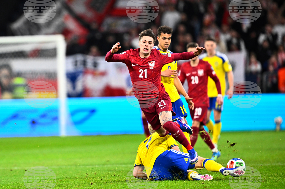 Sweden Poland WCup Soccer