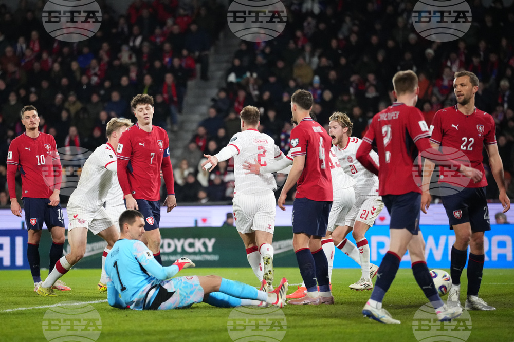 Czechia Denmark WCup Soccer