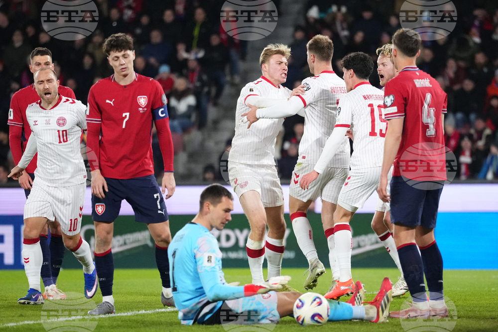 Czechia Denmark WCup Soccer