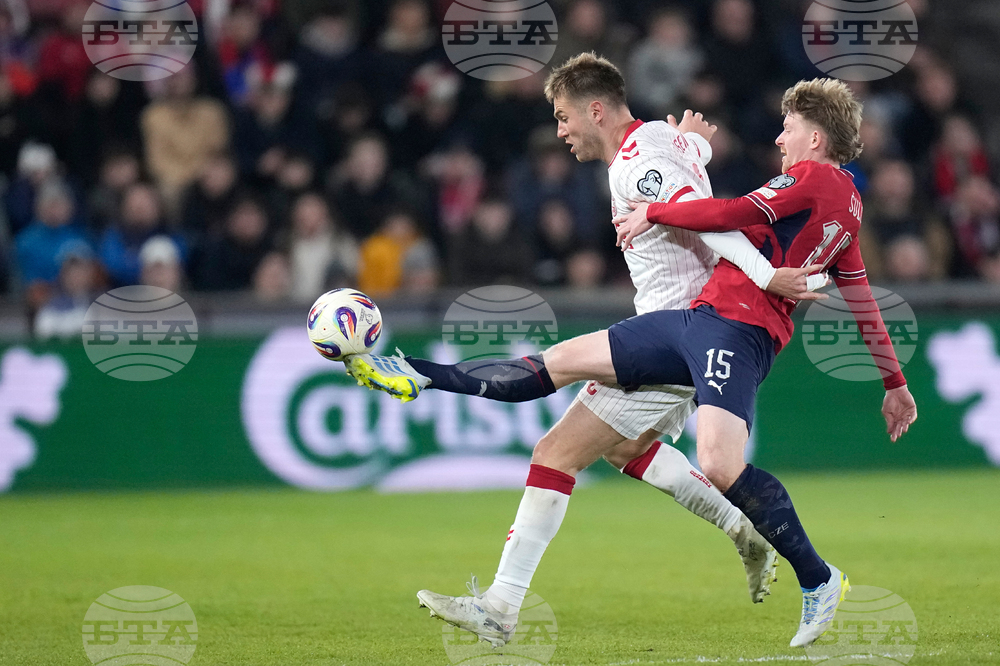 Czechia Denmark WCup Soccer