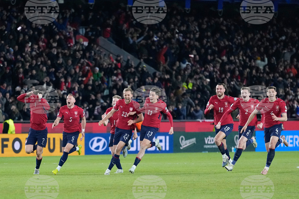 Czechia Denmark WCup Soccer