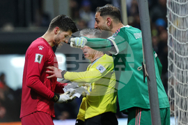 Bosnia Italy WCup Soccer